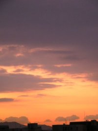 d0018131_6544720.jpg