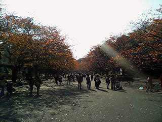a0062133_176660.jpg