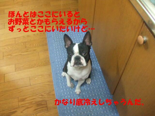 f0059334_9193961.jpg