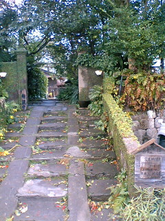 d0088735_23234130.jpg