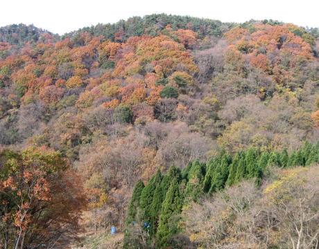 e0049740_16305179.jpg