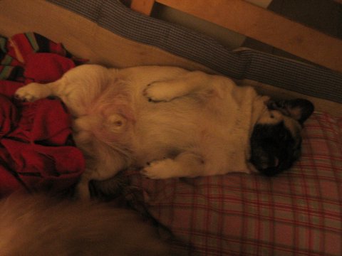 e0018143_0201064.jpg