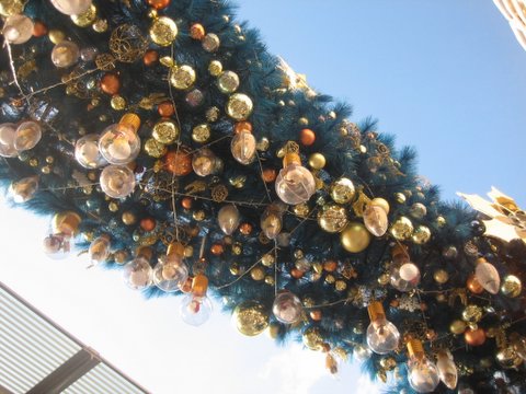 e0018143_024271.jpg