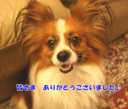 d0013149_0183342.jpg
