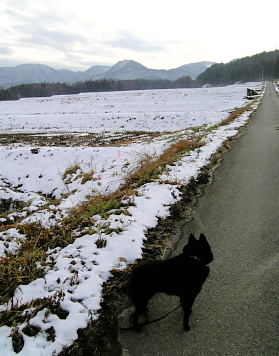 a0009750_20461148.jpg