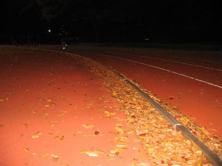 e0083055_143935.jpg