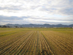 f0062055_6353761.jpg