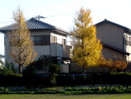 d0029958_20254213.jpg