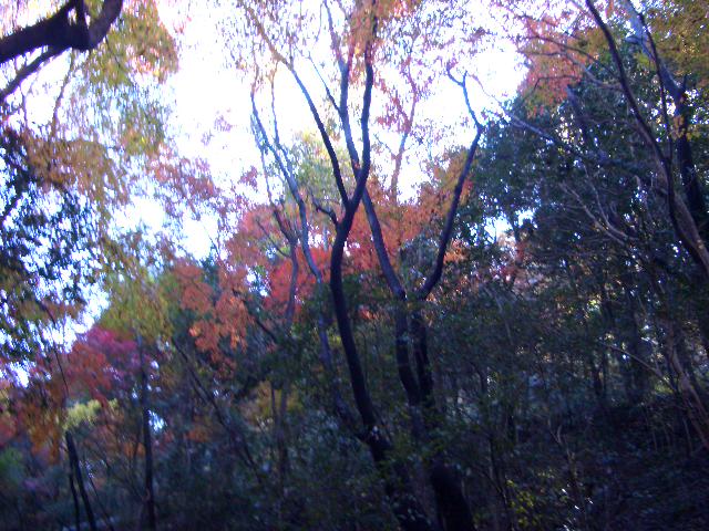 b0095760_20154584.jpg