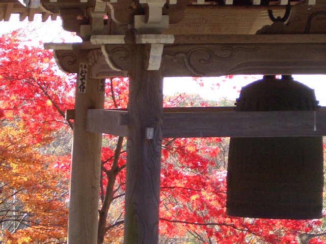b0095760_23112469.jpg