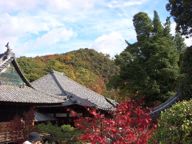 b0095760_23145281.jpg