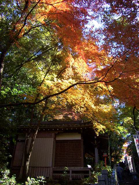 b0095760_232315.jpg