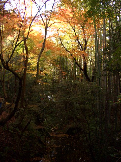 b0095760_23293226.jpg