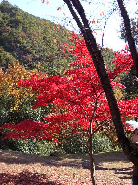 b0095760_238362.jpg