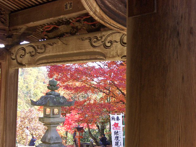 b0095760_2391627.jpg
