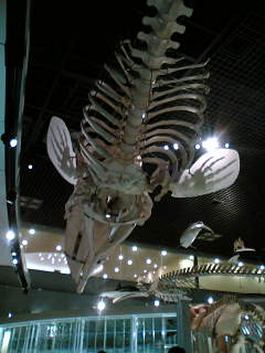e0064166_21534568.jpg