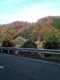 f0061067_16301312.jpg