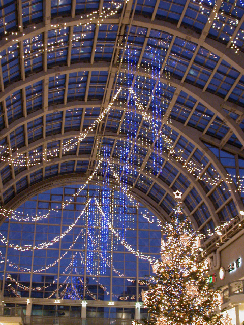 e0100772_22524034.jpg