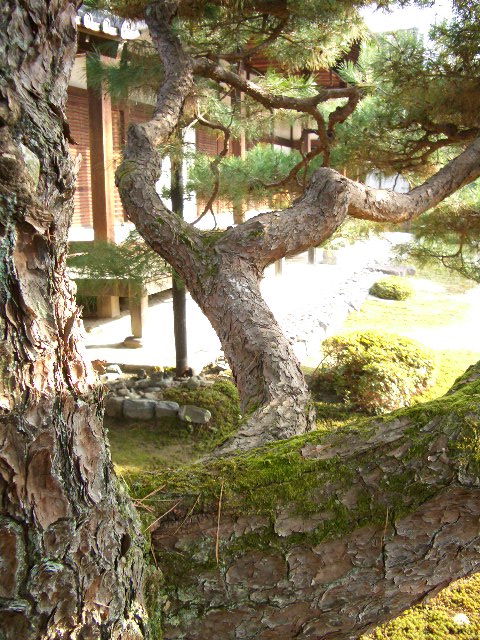 f0089079_4264763.jpg