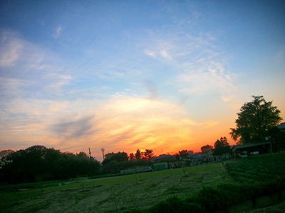 c0078480_21521244.jpg