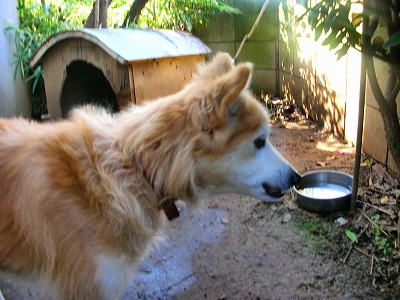 c0078480_22104543.jpg