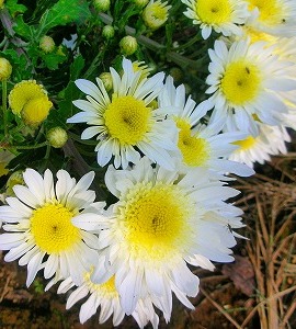 c0078480_2261739.jpg
