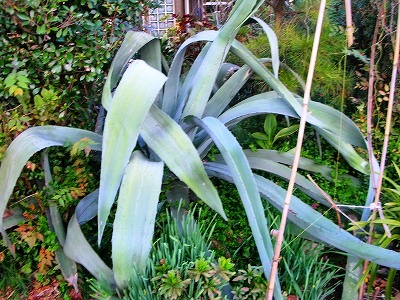 c0078480_2271367.jpg