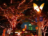b0073782_18174463.jpg
