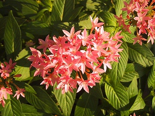b0073782_1836105.jpg