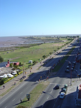 a0008885_446263.jpg