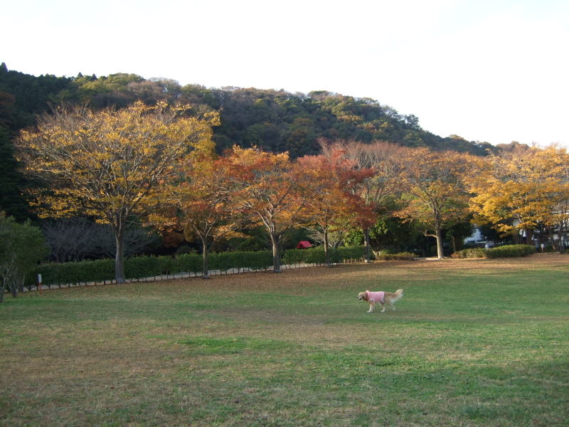 c0104492_23552987.jpg