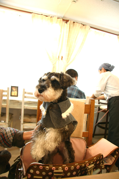 f0001895_1653875.jpg