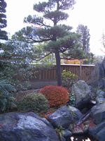 d0069498_17534596.jpg