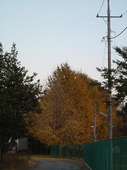 a0065800_23425929.jpg