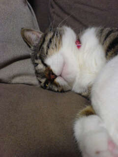 c0035001_228864.jpg