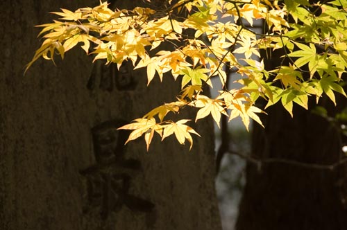 a0044202_17231715.jpg