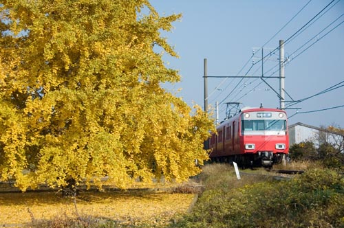 a0044202_1912784.jpg