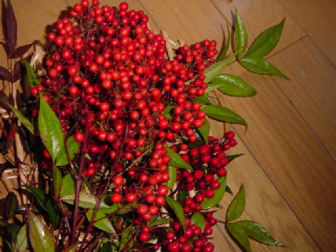 b0083902_143536.jpg