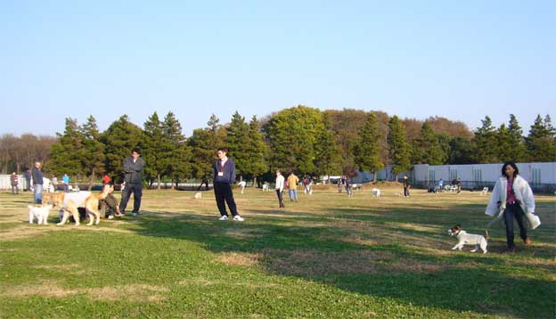 e0018604_1733347.jpg