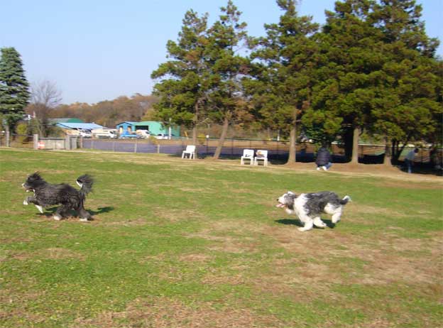 e0018604_1774897.jpg