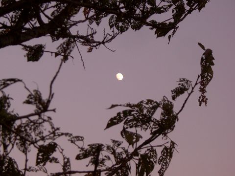 c0065512_2153624.jpg