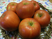 a0062324_23114447.jpg