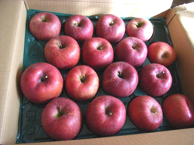 d0081025_1420715.jpg