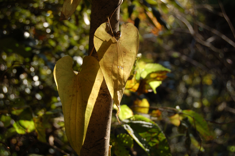 e0107030_12583920.jpg