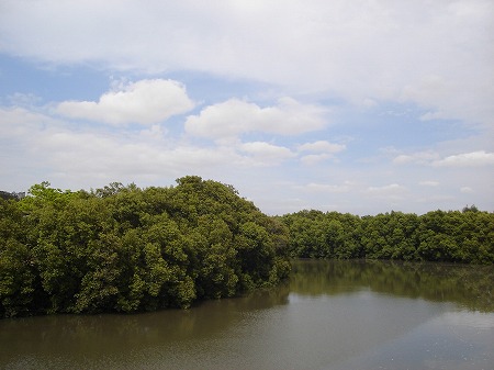b0055835_20454779.jpg