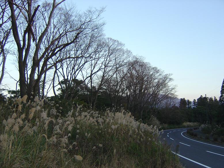 d0088735_22291835.jpg