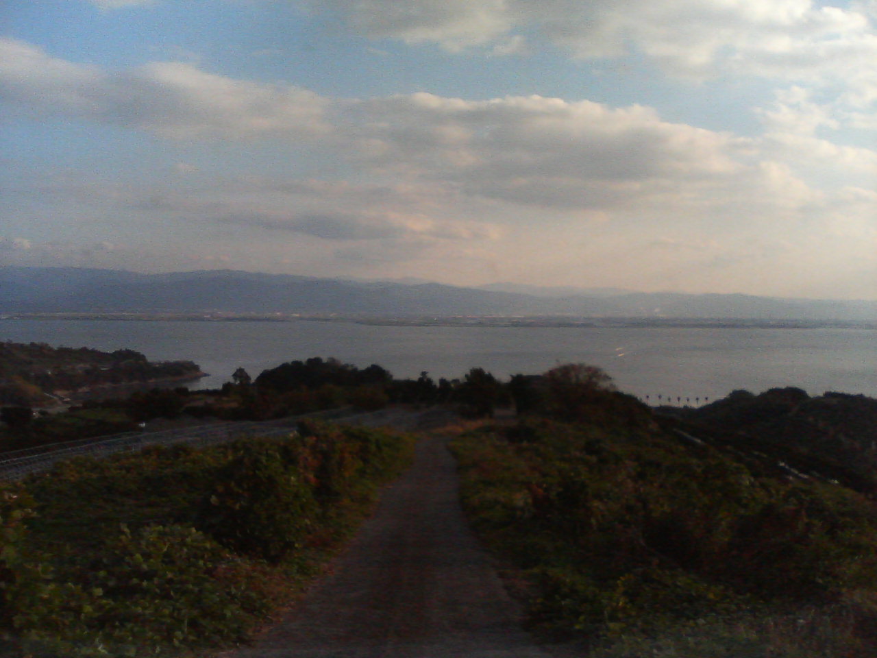a0074938_326580.jpg