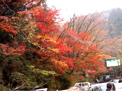 c0068639_14261688.jpg