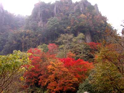 c0068639_1427096.jpg