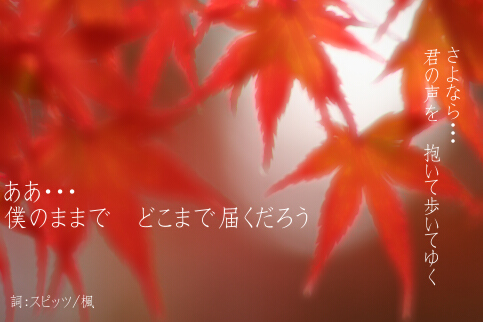 c0046340_2284780.jpg